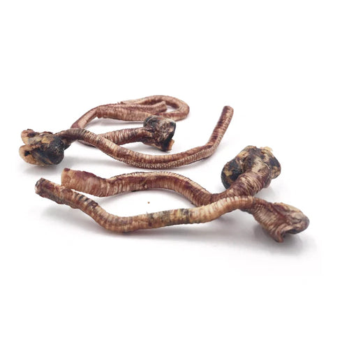 Tuesday's Duck Trachea Dog Treats - 2oz Pouch