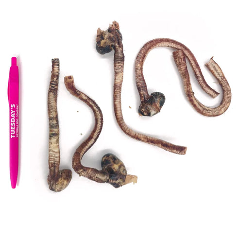 Tuesday's Duck Trachea Dog Treats - 2oz Pouch