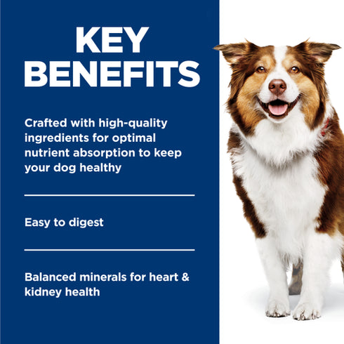 Hill's Science Diet Adult 7+ Wet Dog Food - Beef & Barley - 13oz Can