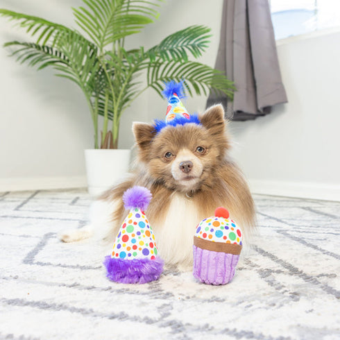 Huxley & Kent Dog Toy Tiny Tuff It's My Birthday