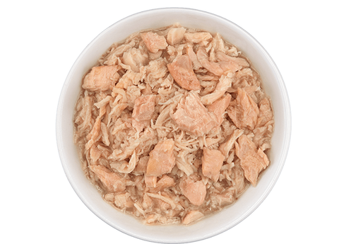 Tiki Cat Luau Napili Wet Cat Food - Wild Salmon & Chicken in Chicken Consommé - 2.8oz Can
