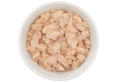 Tiki Cat Luau Hanalei Wet Cat Food - Wild Salmon in Salmon Consommé - 6oz Can