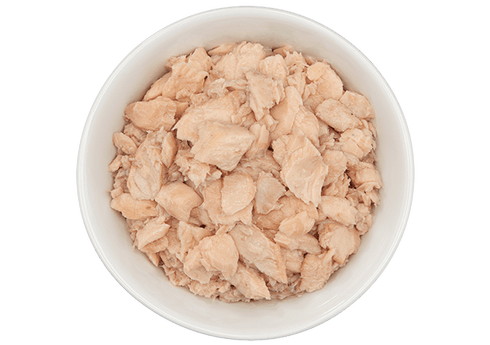 Tiki Cat Luau Hanalei Wet Cat Food - Wild Salmon in Salmon Consommé - 2.8oz Can