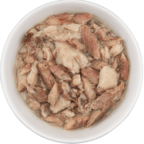Tiki Cat Luau Oahu Wet Cat Food - Seabass in Consommé - 6oz Can