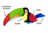 P.L.A.Y. Fetching Flock Tito The Toucan Dog Toy - Large