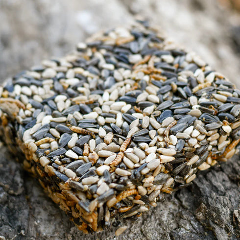 Happy Hen Treat Square Chicken Treats - Seeds & Mealworm - 6.5oz Brick