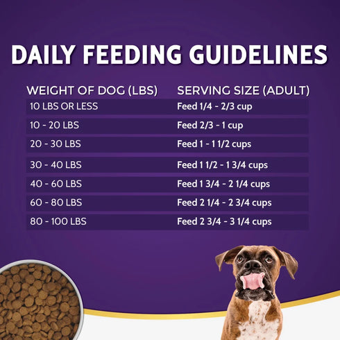 Zignature Original Dry Dog Food - Trout & Salmon - 12.5lb Bag