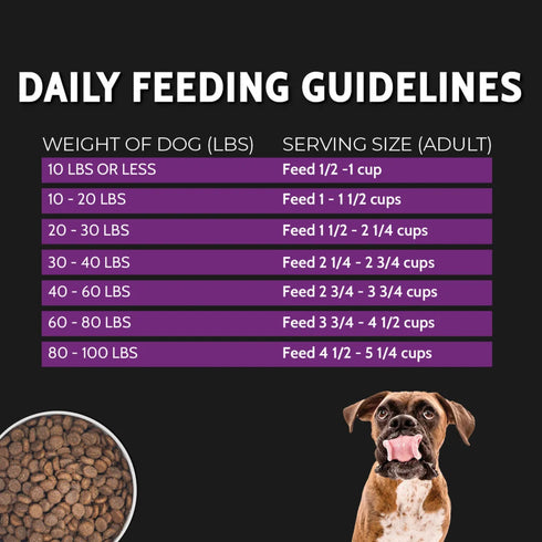 Zignature Select Cuts Dry Dog Food - Trout & Salmon - 4lb Bag