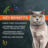 Fussie Cat Market Fresh Dry Cat Food - Turkey - 10lb Bag
