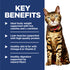 Hill's Science Diet Adult Light Dry Cat Food - Chicken - 4lb Bag