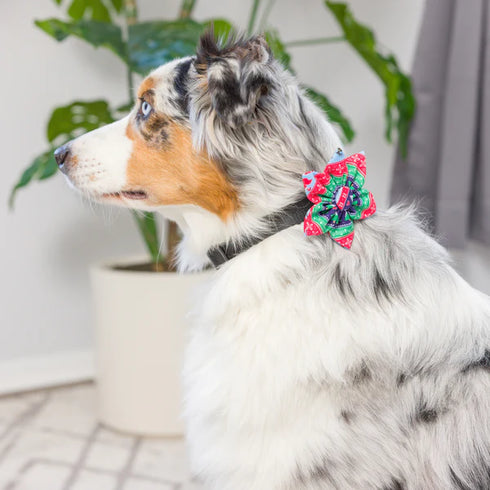 Huxley & Kent Holiday Pinwheel Pet Bow Tie - Large - Ugly Sweater