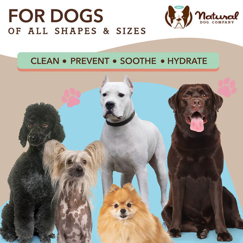 Natural Dog Company Snout Soother Dog Grooming Wipes - 50 Count