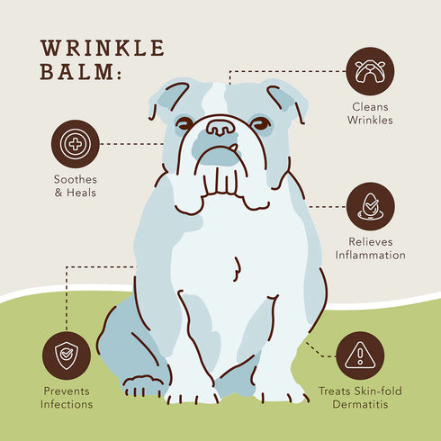 Natural Dog Company Wrinkle Balm Dog Skin Balm - 2oz Tin