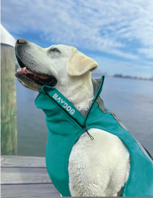 Bay Dog Saginaw Fleece 2.0 Dog Jacket - M - Turquoise