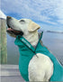 Bay Dog Saginaw Fleece 2.0 Dog Jacket - M - Turquoise