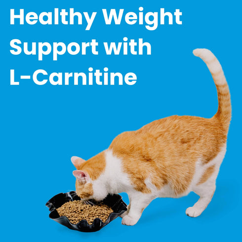 Bixbi Rawbble Indoor Health Dry Cat Food - Chicken & Salmon - 3lb Bag