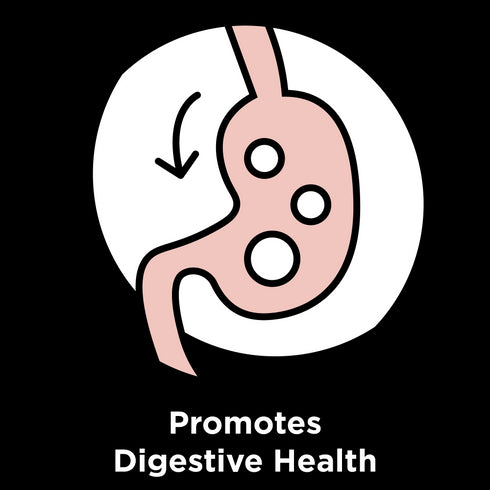 Bixbi Rawbble Dry Cat Food - Salmon - 10lb Bag