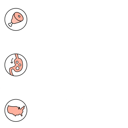 Bixbi Freeze Dried Dog Food - Beef - 26oz Bag