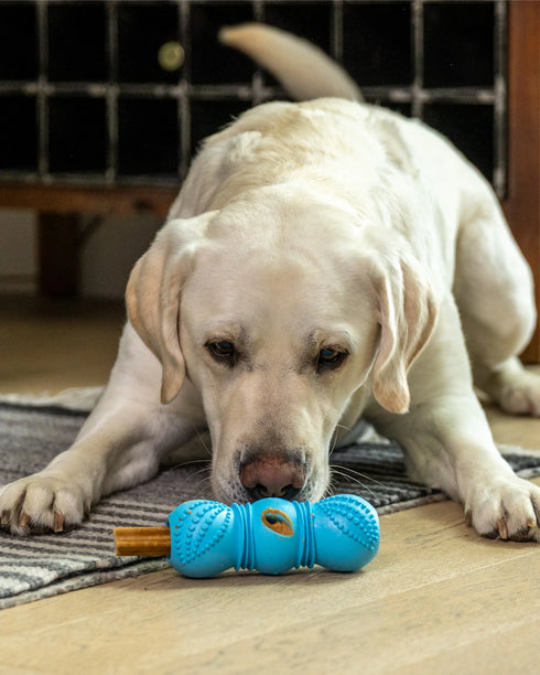 West Paw Flossr Dental Stick Dog Toy - Large - Granny Smith