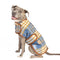 Chilly Dog Blanket Dog Coat - Large - Western Plaid