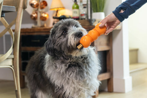 West Paw Flossr Dental Stick Dog Toy - Large - Granny Smith