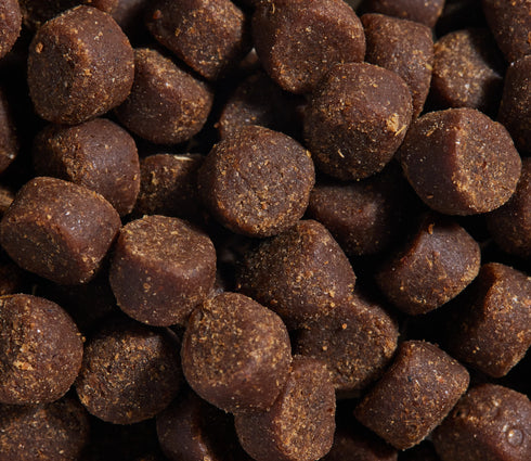 Open Farm Be Good Bites Dog Treats - Wild Caught Salmon - 6oz Pouch