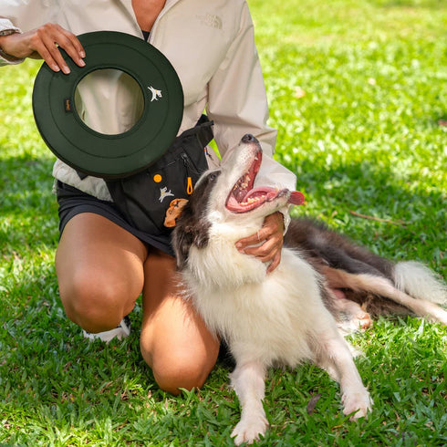 Olly Dog Super Flyer Dog Fetch Toy - Winter Moss