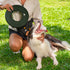 Olly Dog Super Flyer Dog Fetch Toy - Winter Moss