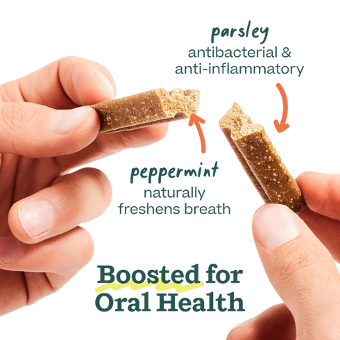 Woof Bite 'N Brush Refills Dog Tent Treats - Chicken - 18 Count Pouch