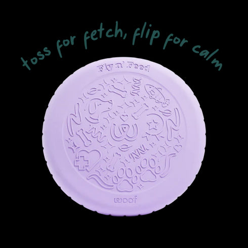 Woof Fly 'n Feed Treat Puzzle Dog Toy