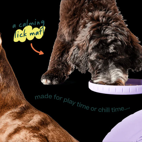 Woof Fly 'n Feed Treat Puzzle Dog Toy