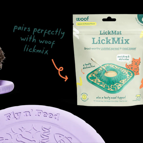 Woof Fly 'n Feed Treat Puzzle Dog Toy