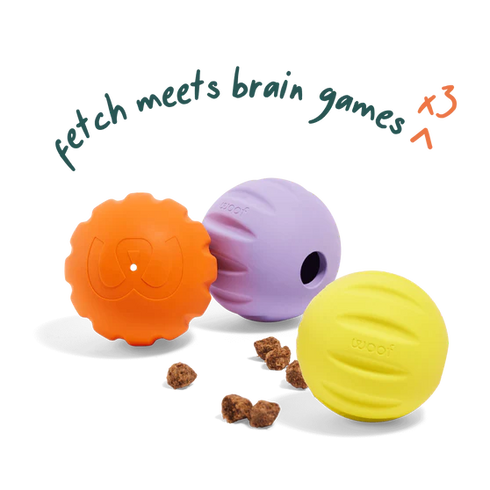 Woof Forager Dog Fetch/Treat Toy - 3 Pack