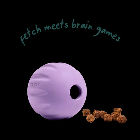 Woof Fllyball Treat Puzzle Dog Toy - Lavender