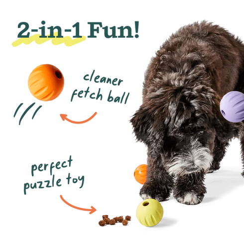 Woof Forager Dog Fetch/Treat Toy - 3 Pack