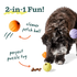Woof Forager Dog Fetch/Treat Toy - 3 Pack