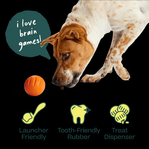 Woof Fllyball Treat Puzzle Dog Toy - Yellow