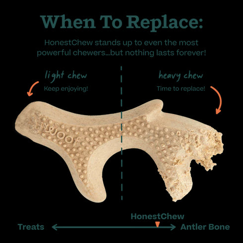 Woof HonestChew Antler Dog Chew - Large