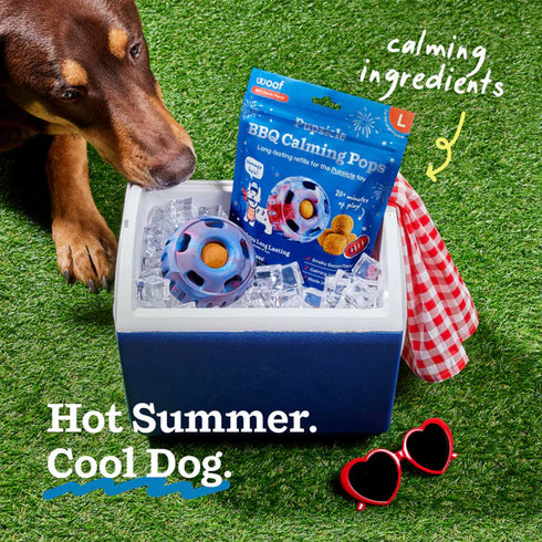 Woof Pops Calming BBQ Dog Treats - X-Large - 12oz Bag