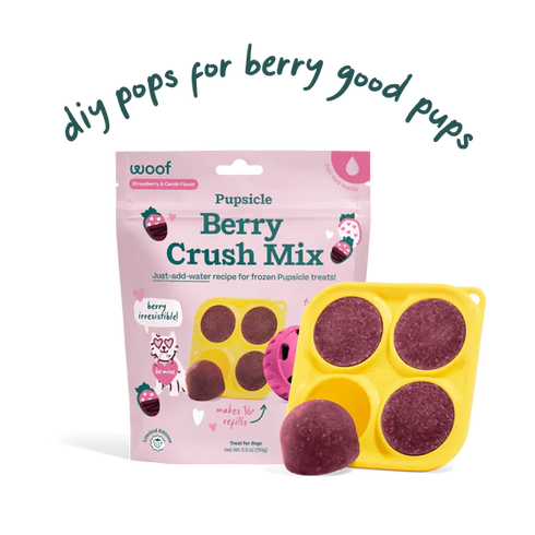 Woof Berry Crush Pupsicle Mix - Dog Treats - 5.5oz Pouch
