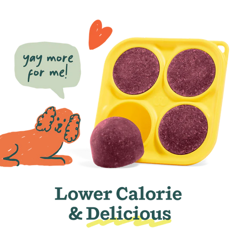 Woof Berry Crush Pupsicle Mix - Dog Treats - 5.5oz Pouch