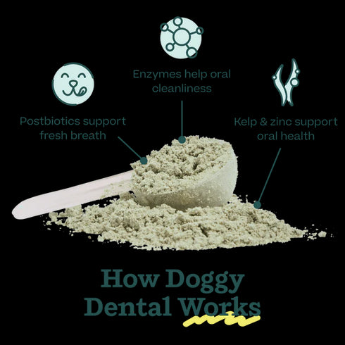Woof Doggy Dental Mix For Dog Treats - 5.5oz Pouch