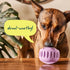 Woof Pupsicle Dog Enrichment Toy - X-Large - Pumpkin