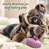 Woof Calming Wellness Pops - Large - 8oz Bag