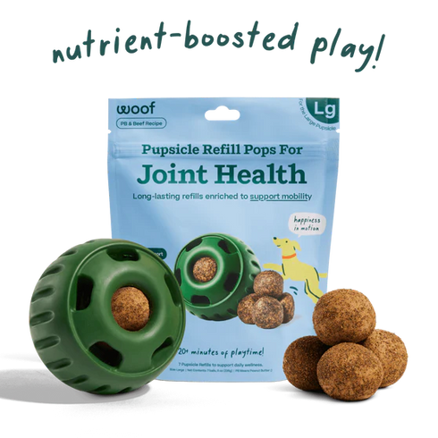 Woof Pupsicle Pops Joint Health Dog Treat Refills - Beef & Peanut Butter - 12oz Pouch