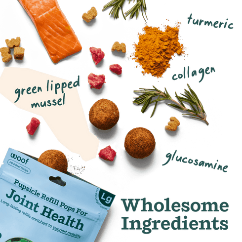 Woof Pupsicle Pops Hip & Joint - PB & Beef - Large - 8oz Pouch
