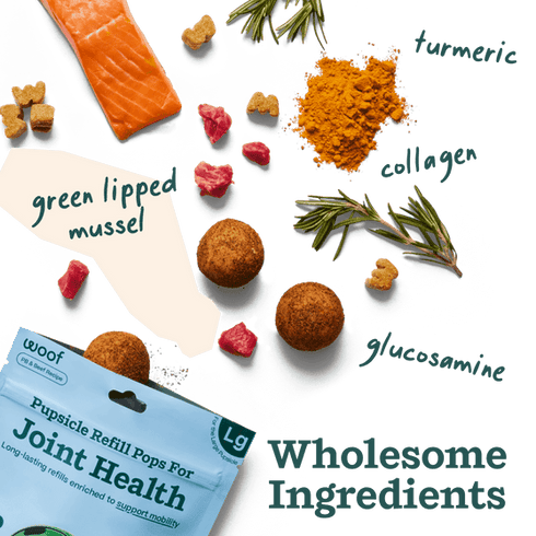 Woof Pupsicle Pops Joint Health Dog Treat Refills - Beef & Peanut Butter - 12oz Pouch