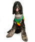Chilly Dog Knitted Dog Sweater - X-Large - Rainbow Mohawk