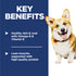 Hill's Science Diet Adult 1-6 Small Bites Dry Dog Food - Chicken - 45lb Bag
