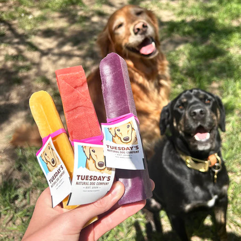 Tuesday's Himalayan Yak Cheese Dog Chew - Blueberry - Per Pound